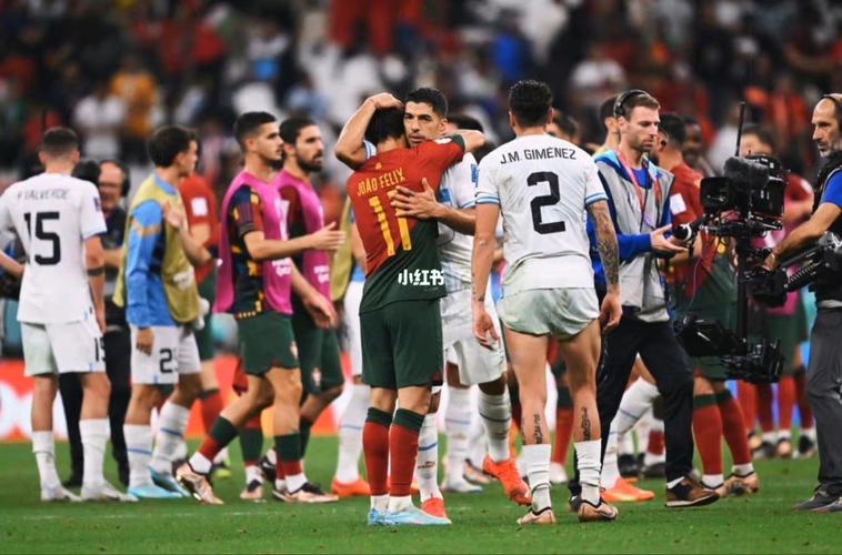 乌拉圭葡萄牙比赛结果