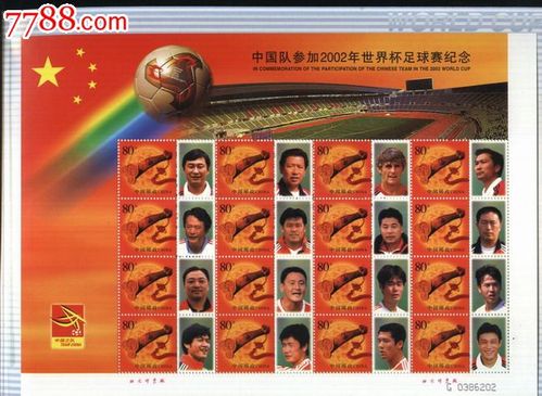 2002年世界杯中国队人员名单